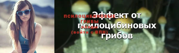 бутират Богородицк