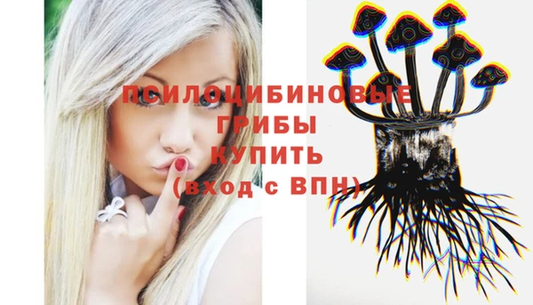 бутират Богородицк